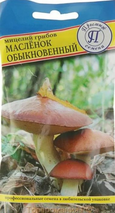 Закупен мицел