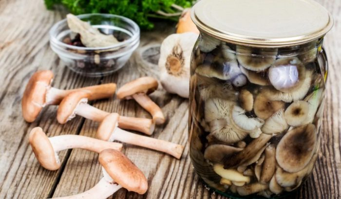 Мариновани медени гъби