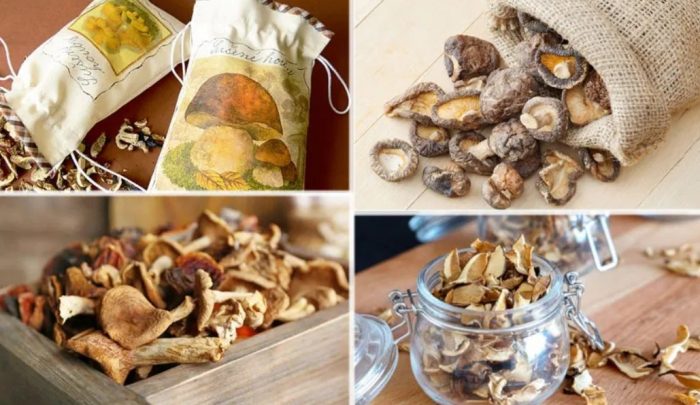 Как да съхраняваме сушени гъби