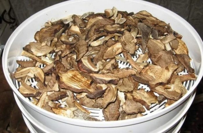 Електрическа сушилня