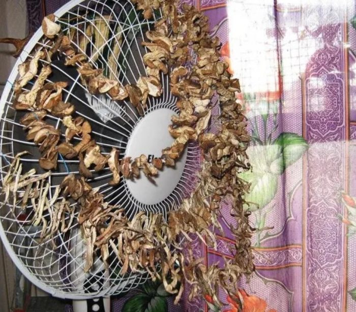 Сушене на вентилатор