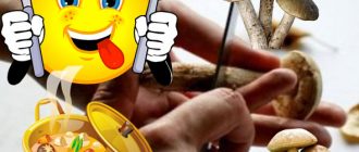 Почистване и приготвяне на манатарки