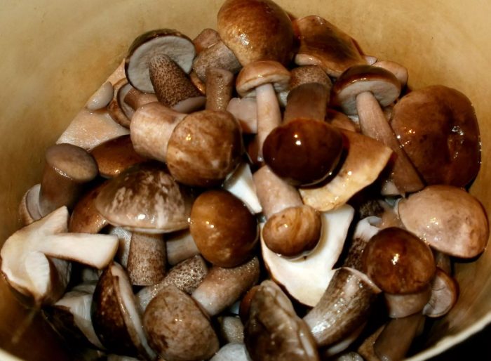 Солени манатарки