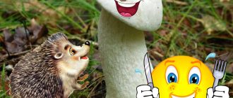 Белите трепетлики са вкусни гъби.