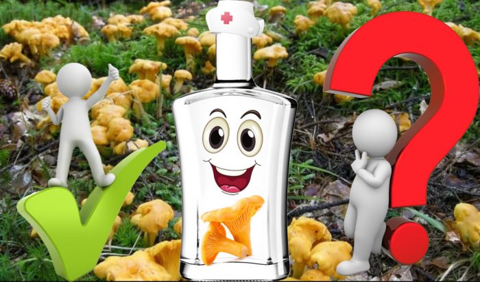 Тинктурата от пачи крак е полезна или вредна?