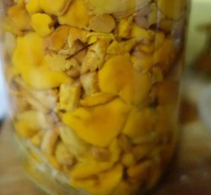 Тинктура от пачи крак