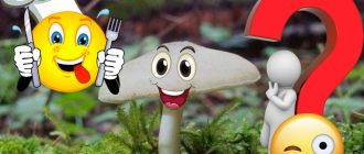 Въпросът за ядливостта на Плутей