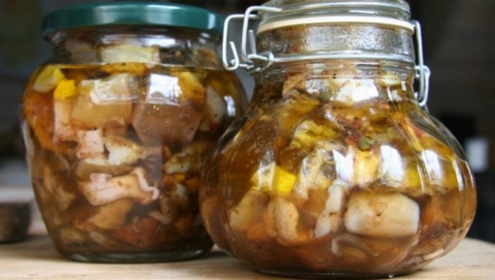 Маринован плутеус