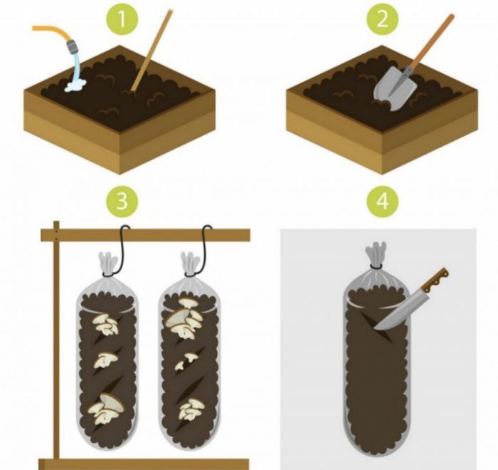Отглеждане в торбички