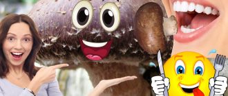 Необичайни гъби шийтаке