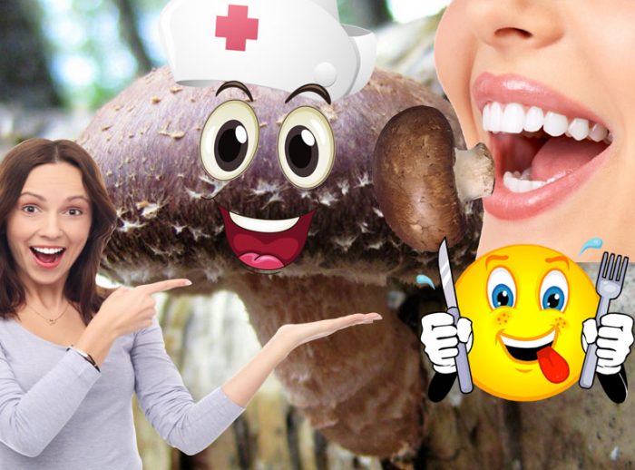 Необичайни гъби шийтаке