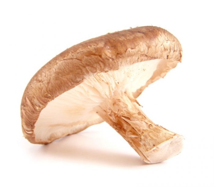 Гъба шийтаке