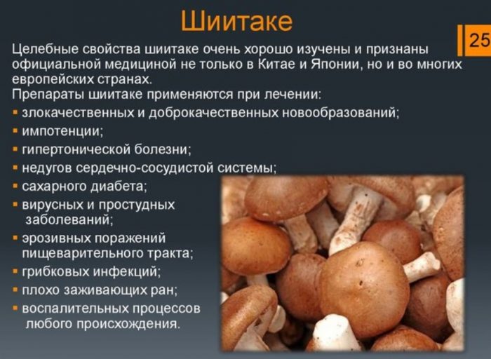 Ползи от гъбите шийтаке