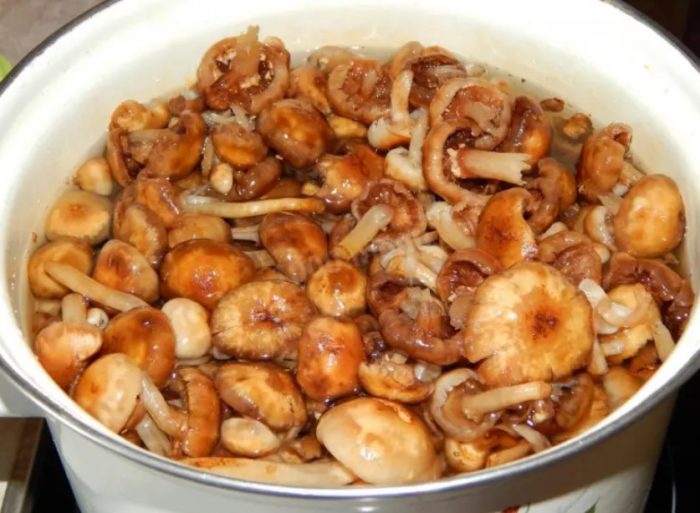 Готвене на медени гъби в тенджера