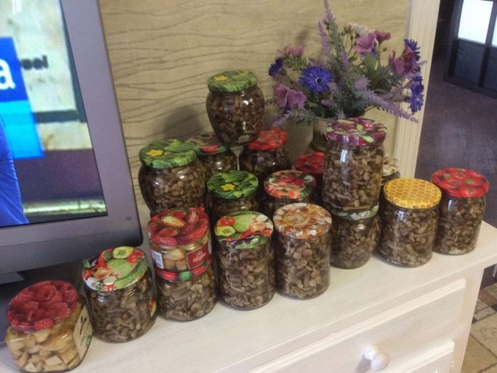 Приготвени ястия с медени гъби