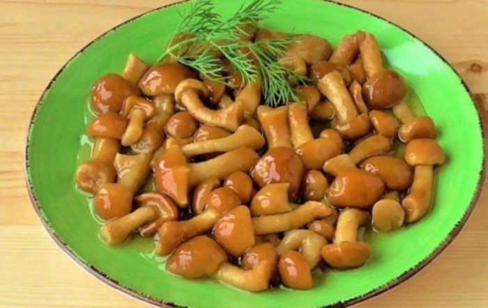 Солени медени гъби