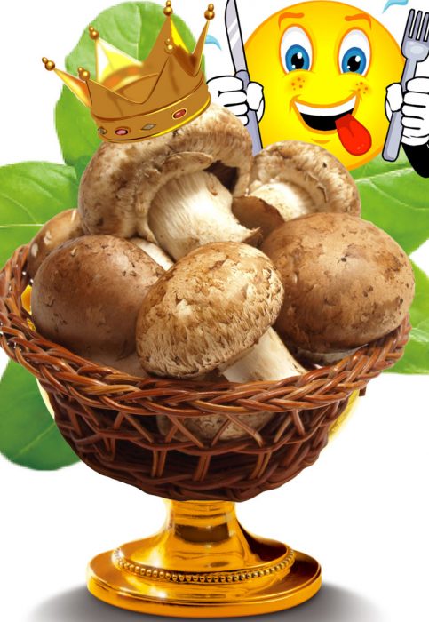 Царска гъба