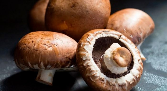 Големи печурки