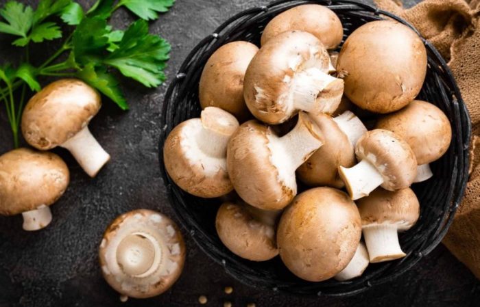 Шампиньон в чиния