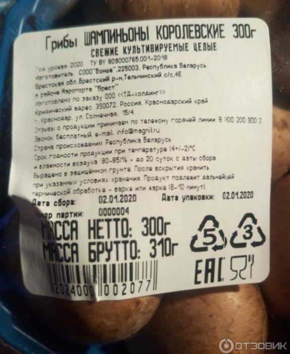 Описание на шампиньоните