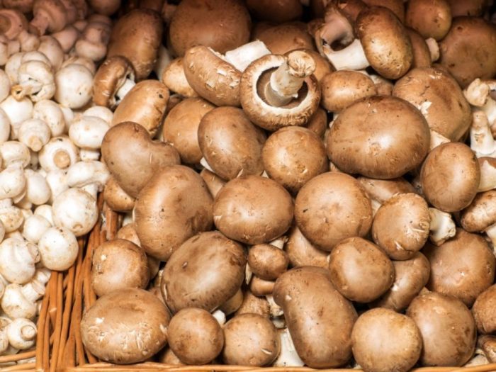 Сравнение на печурки