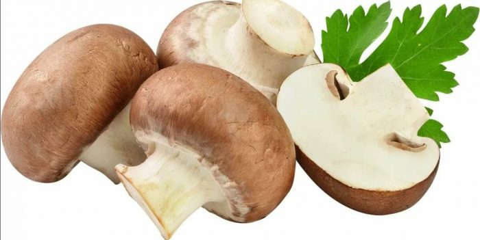 Кралски печурки