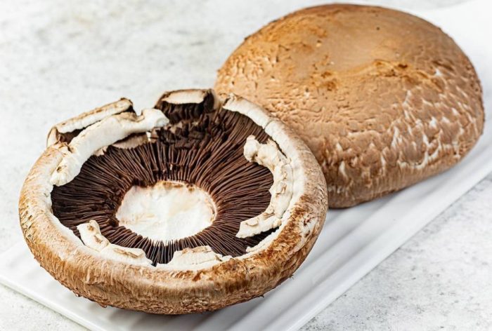 Отворен шампиньон