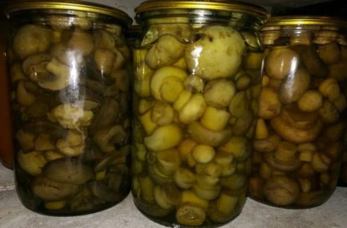 Консервирани печурки