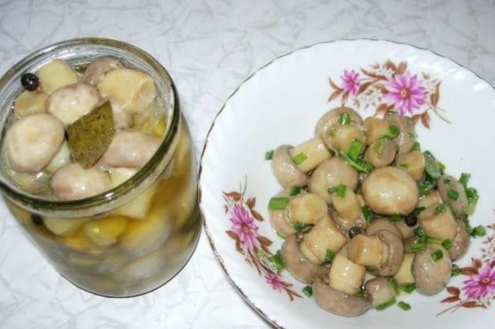 Солени печурки