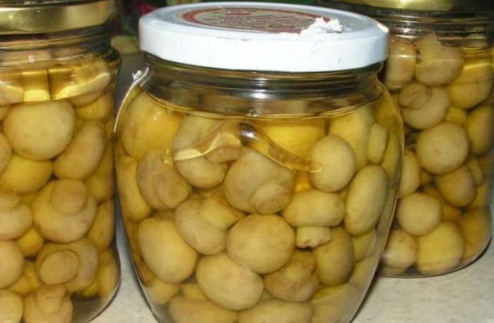 Консервирани печурки