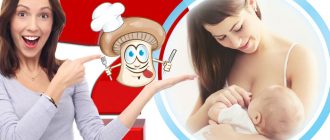 Могат ли кърмещите майки да ядат печурки?