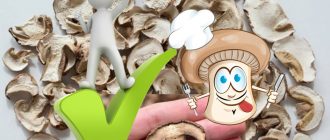 Ползи от сушените гъби