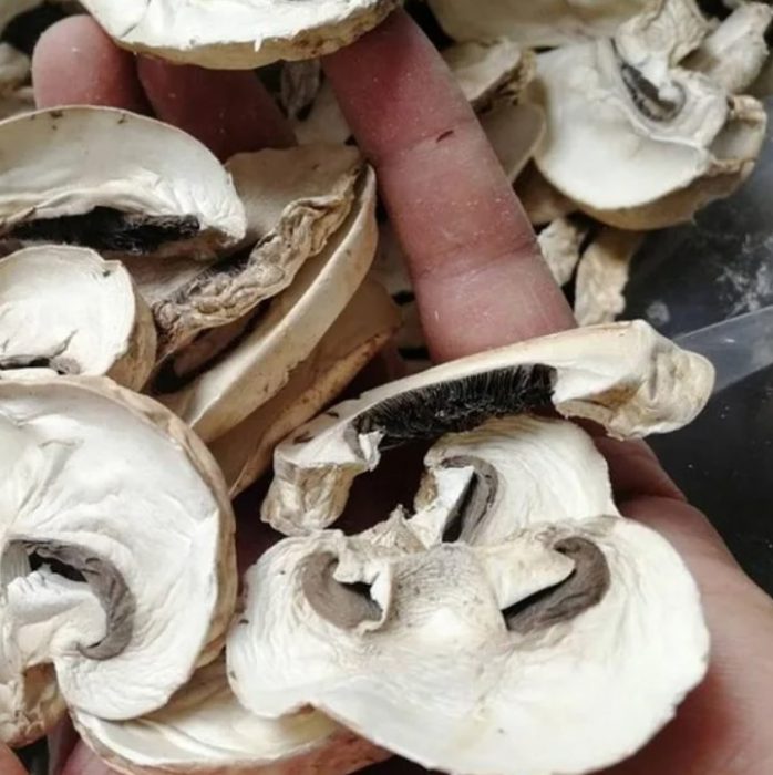 Сушене на печурки