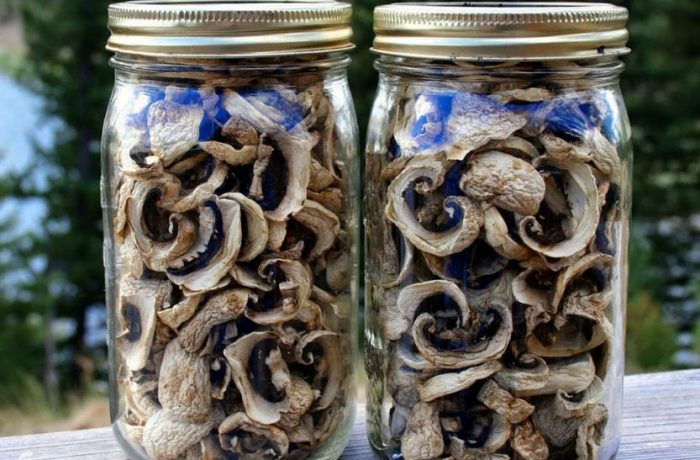 Буркани за съхранение на сушени гъби