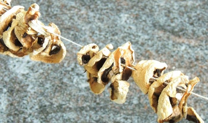 Сушене на печурки на връв