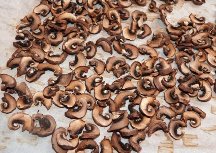 Сушене на печурки