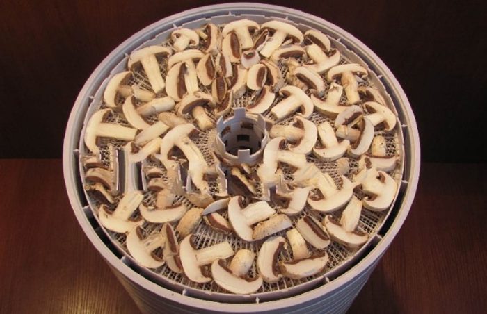 Сушилня за гъби