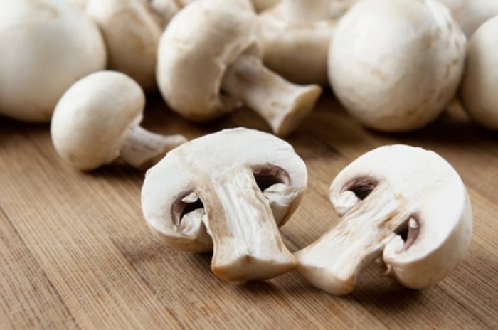 Сурови печурки