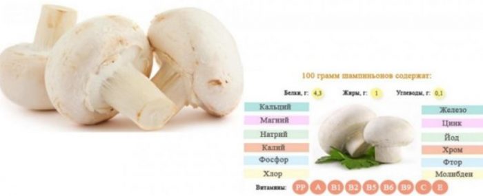 Състав на сурови печурки