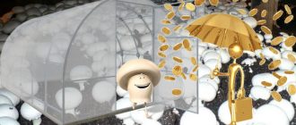 Отглеждането на гъби като бизнес