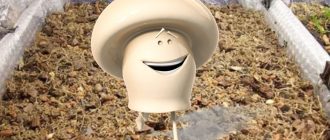 Компост за отглеждане на шампиньони