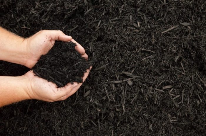 Торф за компост