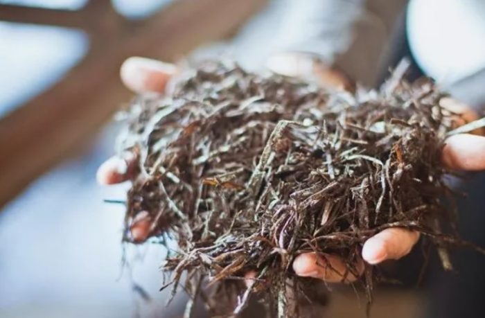 Компост за отглеждане на шампиньони