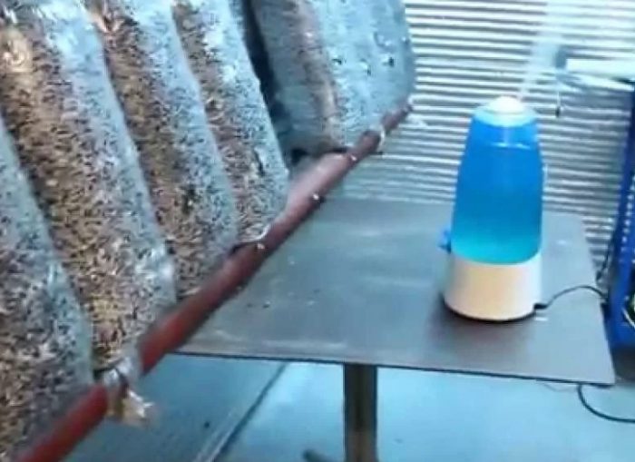 Вентилация на стая с гъби