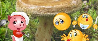 Такива мистериозни прасета