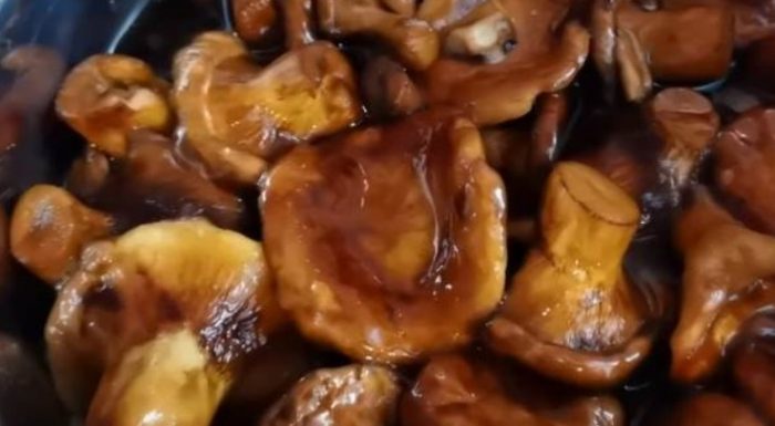 Приготвени прасенца