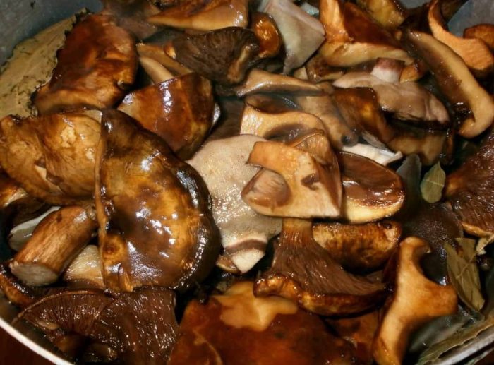 Готвене на прасенца