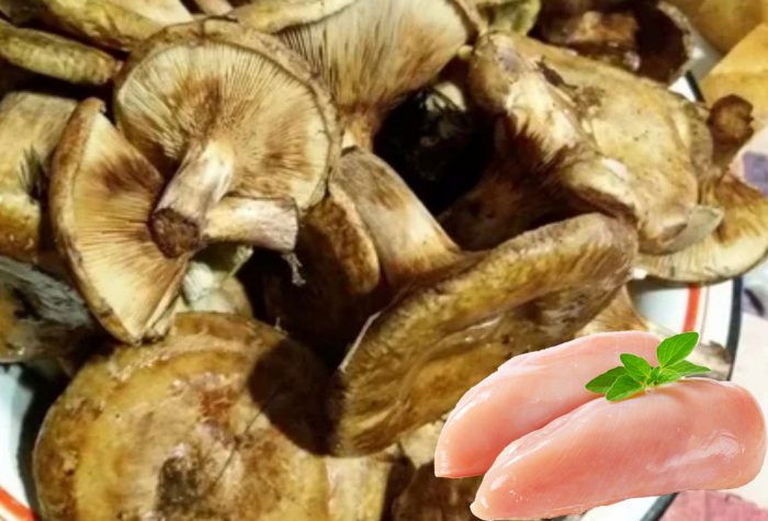 Прасенца с пилешко месо