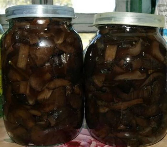 Солени прасенца