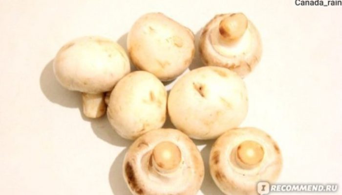 Сурови печурки